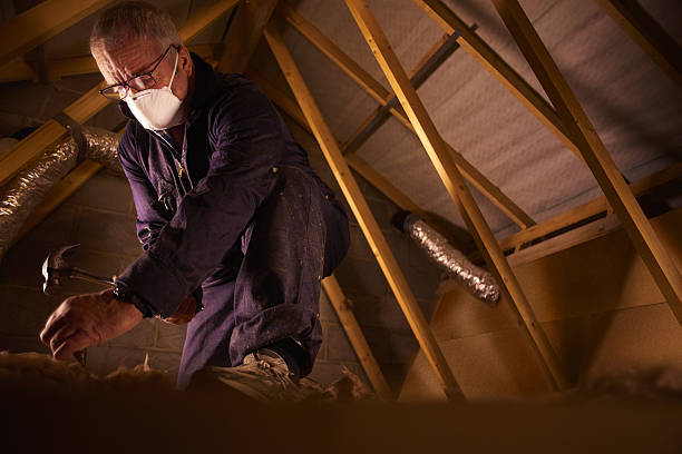 Best Specialized Insulation Services in Bolivar, OH
